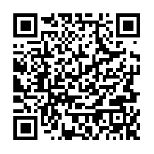 Service7b8453e7f82saudi-yuotube.com QR code