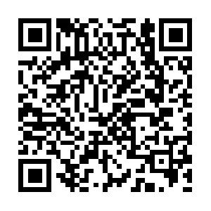 Serviciodetransportelatinoamerica.com QR code