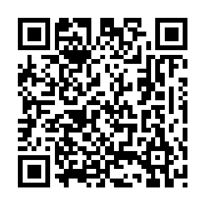 Serviciosdevigilancialafronteraltda.com QR code