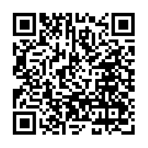 Shelterrockministriesaccountability.net QR code