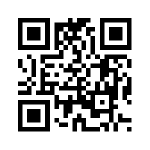 Shengyin.biz QR code