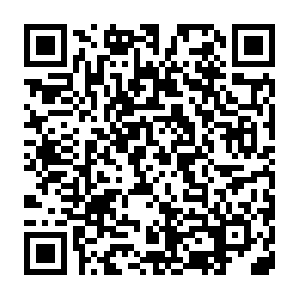 Shipsy.co.in.dob.sibl.support-intelligence.net QR code