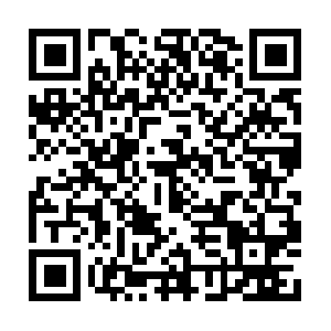 Shipsy.in.dob.sibl.support-intelligence.net QR code