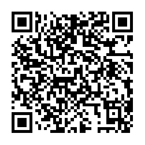 Shopee.ph.getcacheddhcpresultsforcurrentconfig QR code
