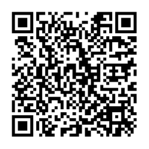 Shopifyemail.com.dob.sibl.support-intelligence.net QR code