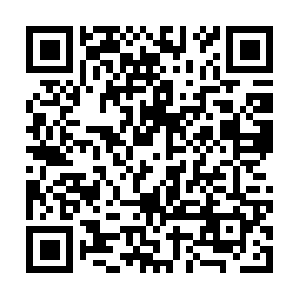 Shuijingchengguojiyulecheng4604.com QR code