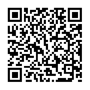 Sidhantinternationalpublication.com QR code