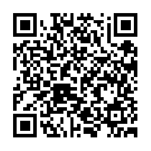 Signalliamarketingdistribution.info QR code