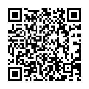 Sinharajarainforestguidetour-cl.com QR code