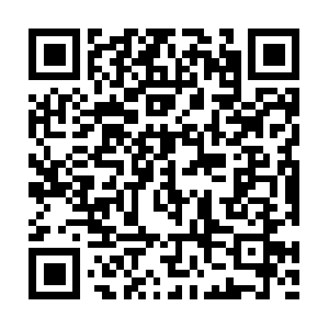 Sistemascontraincendioqueretaro.com QR code