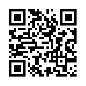 Skyelectrical.in QR code