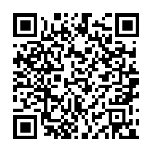 Skylight-cm.eu-central-1.amazonaws.com QR code