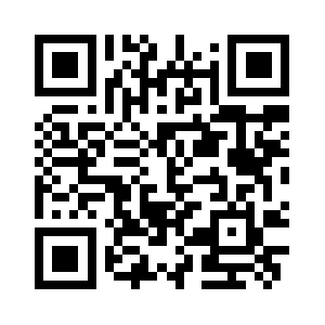 Skynetsolutionz.com QR code