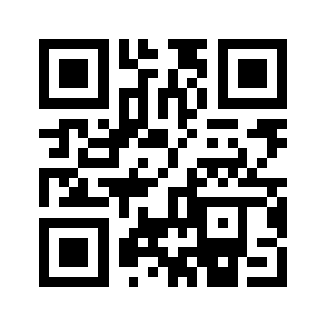 Skyrevery.ru QR code