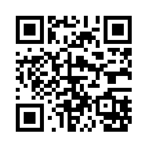 Skytheitguy.com QR code