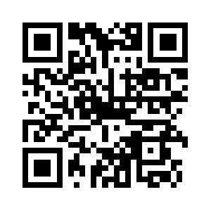 Smallbizstrategybook.com QR code