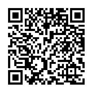 Smallbusinessinterruptionloancpa.com QR code