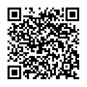 Snohomishcountyhomesincrealestate.com QR code