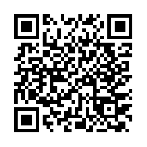 Snpsdanlsin.internal.synopsys.com QR code