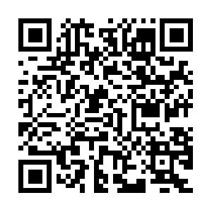 So.dob.sibl.support-intelligence.net QR code