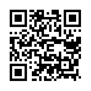 Socket.idns889.com QR code