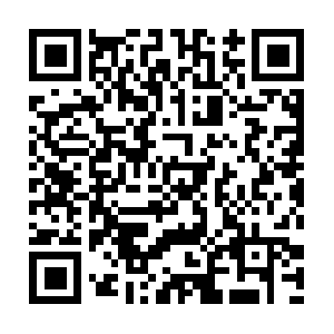 Softwaredevelopmentvisualisation.net QR code