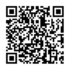 Softwaredevelopmentvisualisation.org QR code