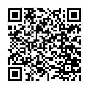 Softwarepercommercialisti-progstud.com QR code