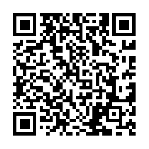 Solitaire-tm-basic-spider.me2zengame.com QR code