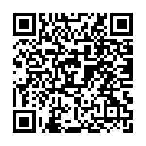 Solodeportenoticiastierraestella.com QR code