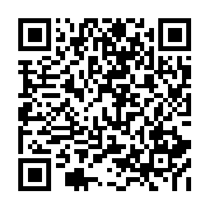 Sopaminjembutanjing-mailbusiness.com QR code