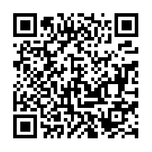 Soundveterinaryrehabilitationcenter.com QR code