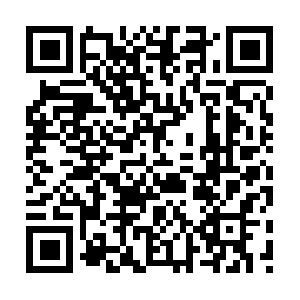 Southdakotaprivatefamilytrustcompany.net QR code