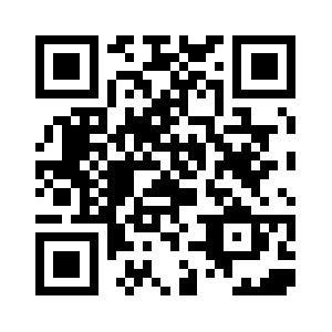 Southsteels.com QR code