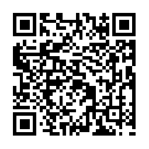 Southwestcollisionservicecenter.biz QR code