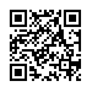 Soysallarvinc.com QR code