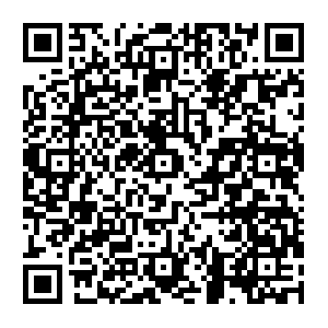 Sp-8f237ea3.honzik.avcdn.net.getcacheddhcpresultsforcurrentconfig QR code