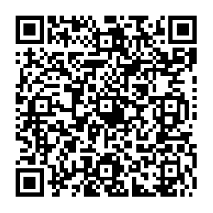 Sp-auth-oauth2-15ff-957544908.ap-northeast-2.elb.amazonaws.com QR code