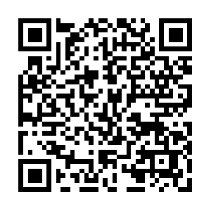 Sp48v54cip0f874xz83fq9ta9vwf1p.ipcheker.com QR code