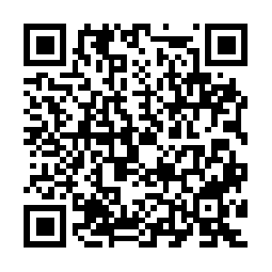 Specialforcestrainingandfitness.com QR code