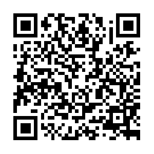 Specialtyclinicforpainandwellness.org QR code