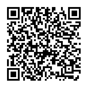 Spinregressionmakedomaindirect20180629183613genericapi.mobi QR code