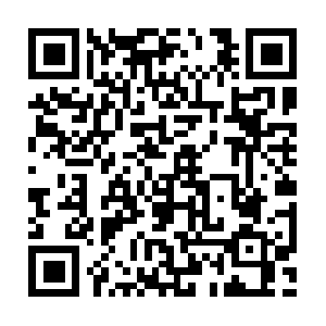 Springfieldgardensbusinessyellowpages.com QR code