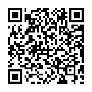 Standardnormalprocedureprotocol.com QR code