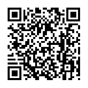 Staramericanstaffordshireterrier.com QR code