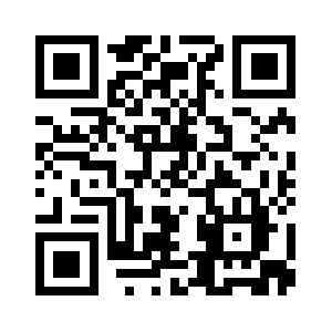 Startjeveiling.com QR code