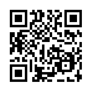 Stategischdenken.com QR code