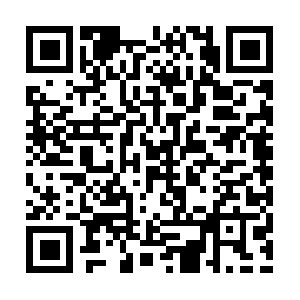 Static-paddlepop-grape-shake.bukalapak.com QR code