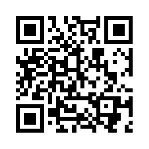 Statikprojesi.org QR code