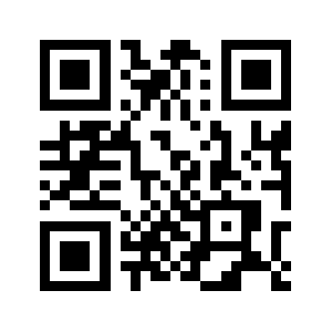 Statsalt.com QR code